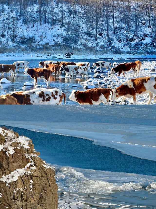 冬日呼倫貝爾雪原行 冬日呼倫貝爾雪原行