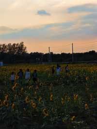 海寧神仙湖：自然與時光的詩意交響
