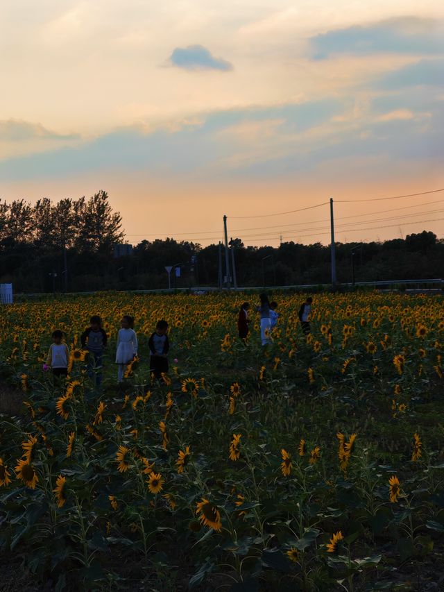 海寧神仙湖：自然與時光的詩意交響