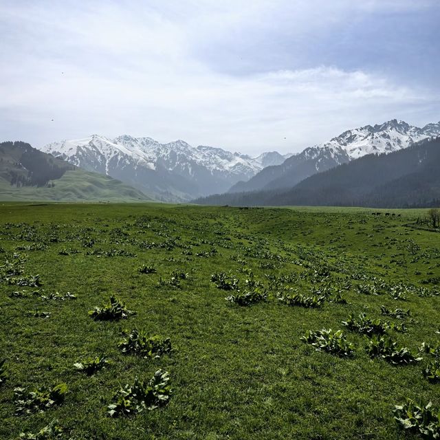 推薦一個超級美的地方……