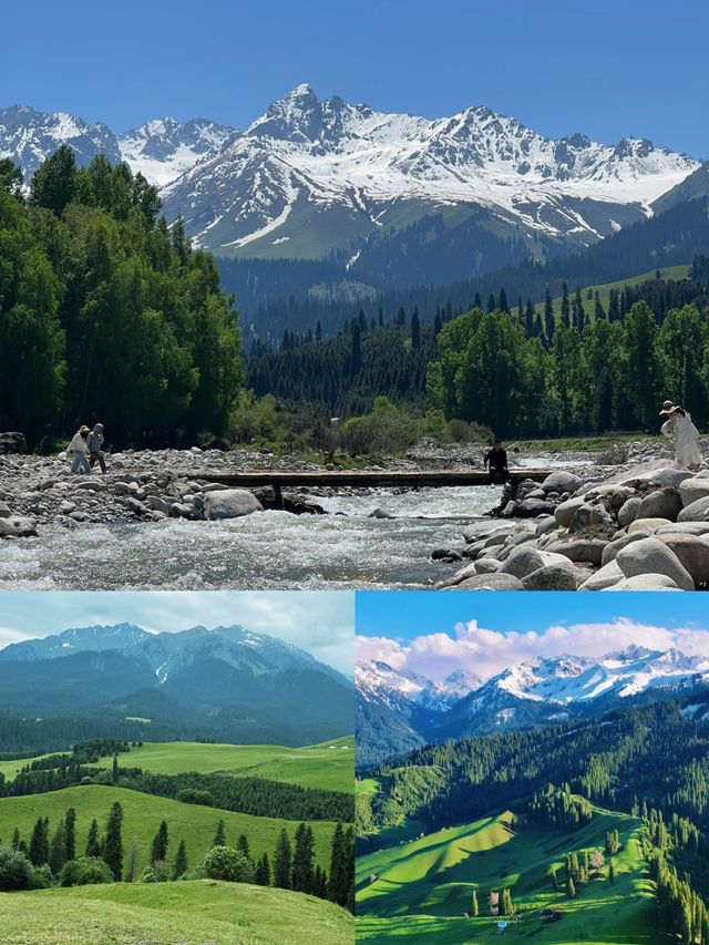 逃離城市!恰西草原「野生仙女」生存指南 逃離城市!恰西草原「野生仙女」生存指南