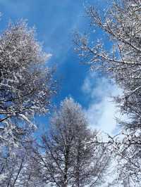 樺皮嶺踏雪：樺皮嶺會懲罰每一個不帶工具的人！