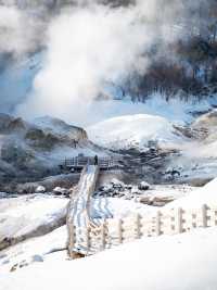 北海道冬季自由行｜中文包車太香了