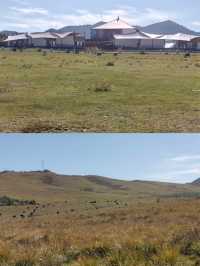 甘南秘境：當周草原的四季變幻