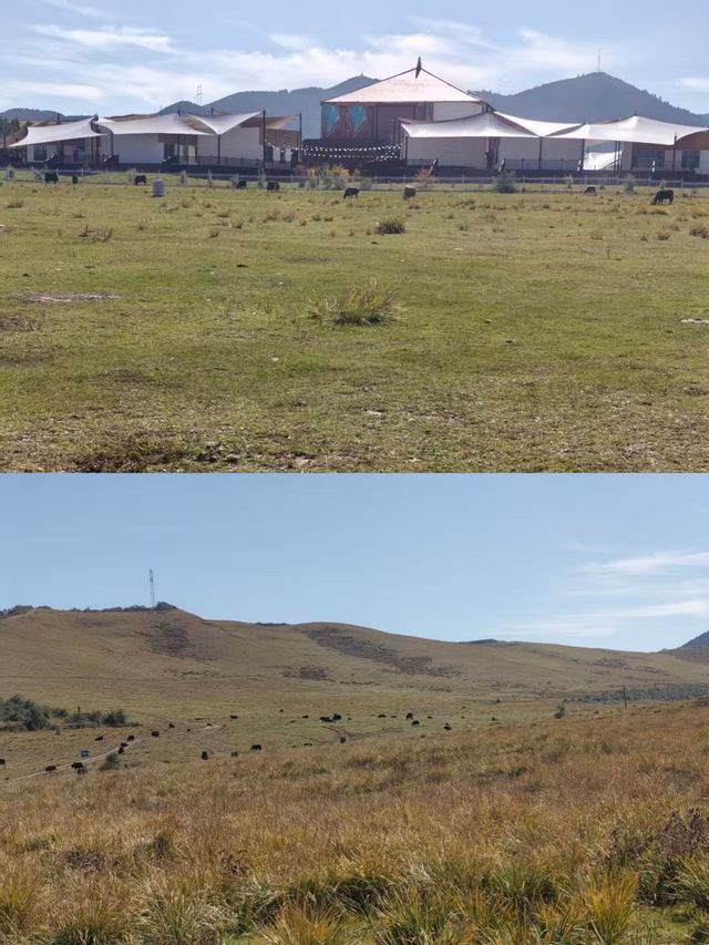 甘南秘境：當周草原的四季變幻