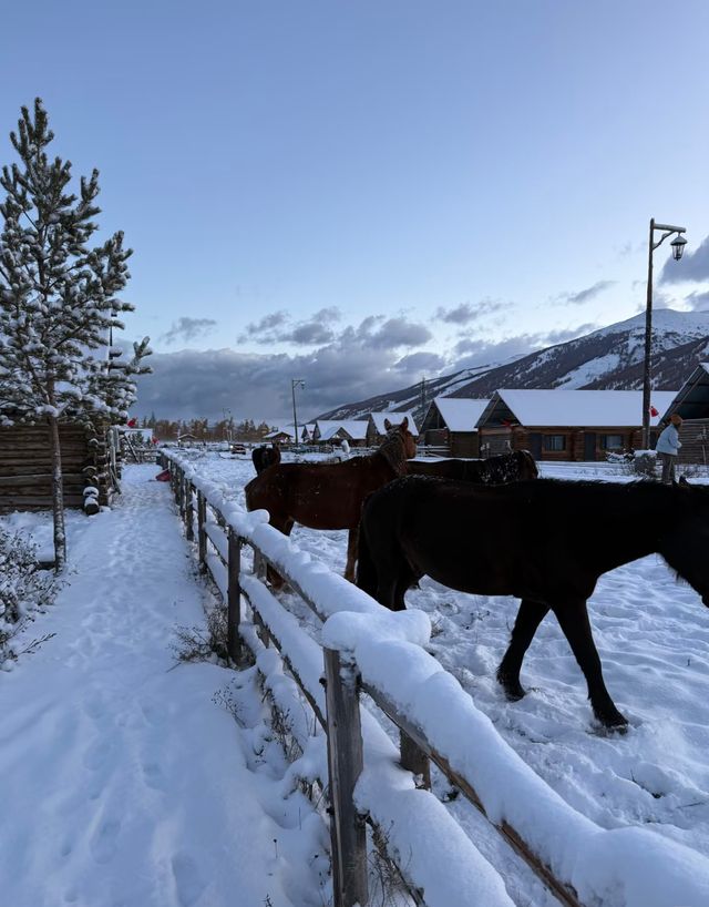 喀納斯童話木屋民宿!呢間北歐風超正 喀納斯童話木屋民宿!呢間北歐風超正