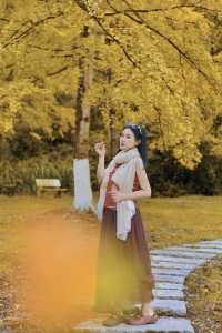 走進韶關帽子峰，彷彿踏入一幅金秋畫卷