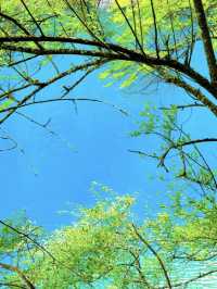 川西松平溝秘境99%的人都不知道的寶藏地