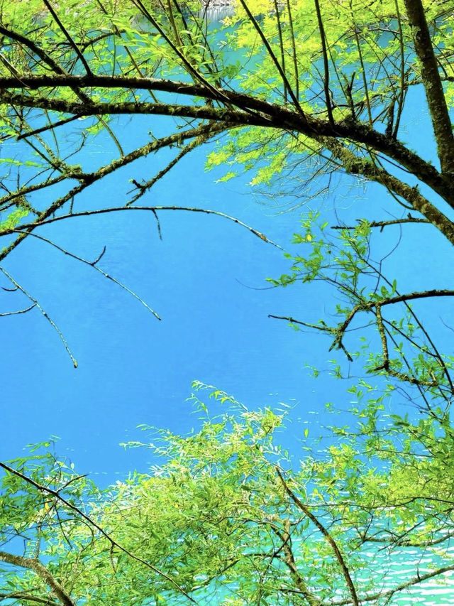 川西松平溝秘境99%的人都不知道的寶藏地