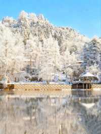 江西高海拔山區霧淞奇觀，冰雕玉砌