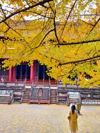 為了這扇秋日限定的窗，我專門去了趟崇州