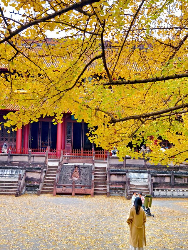 為了這扇秋日限定的窗，我專門去了趟崇州