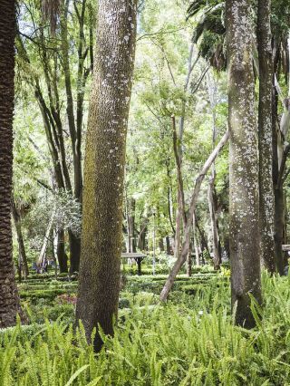 Autumn travel must-hit multi-country tour including Mexico is super exciting!