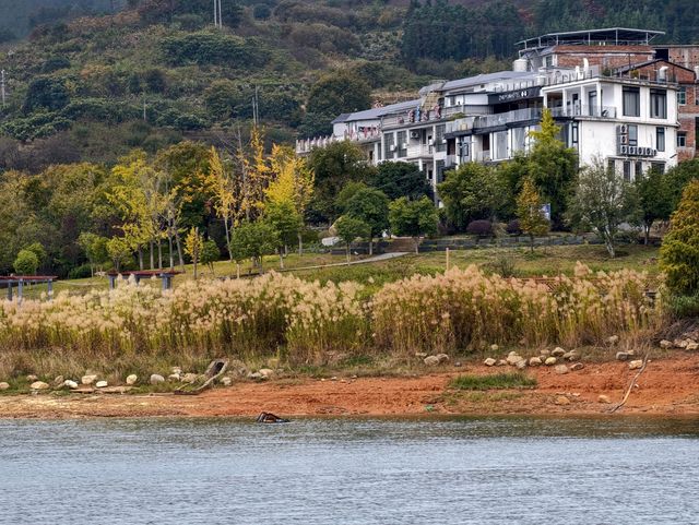 去東江湖白廊乘船觀光也太愜意了吧——湖南郴州