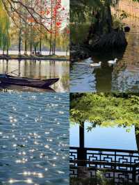 絕美莫愁湖打卡攻略