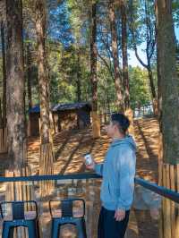 江浙滬這座寶藏樂園！已經被這裡動物萌化了