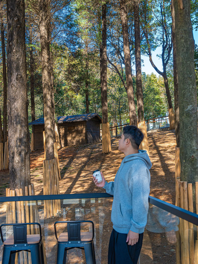 江浙滬這座寶藏樂園！已經被這裡動物萌化了