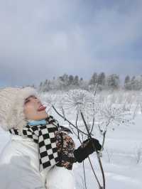 長白山滑雪全攻略