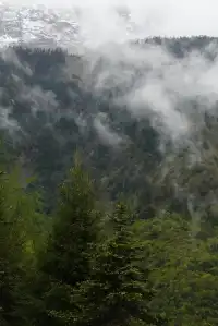 人生第一次帶相機雨林徒步!