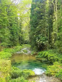 11月秋假|張家界旅遊4天3夜遛娃路線