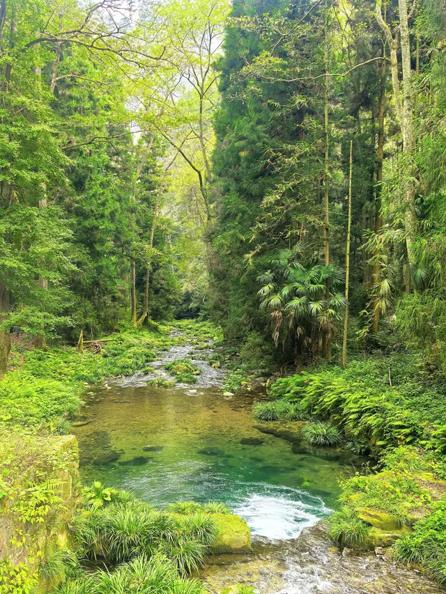 11月秋假|張家界旅遊4天3夜遛娃路線