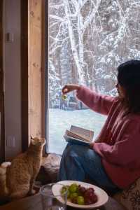 在禾木小住，遇到了夢想中的小木屋