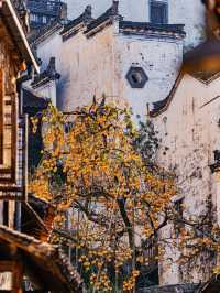 比起黃山！我更愛江西這個「世界遺產」名山！