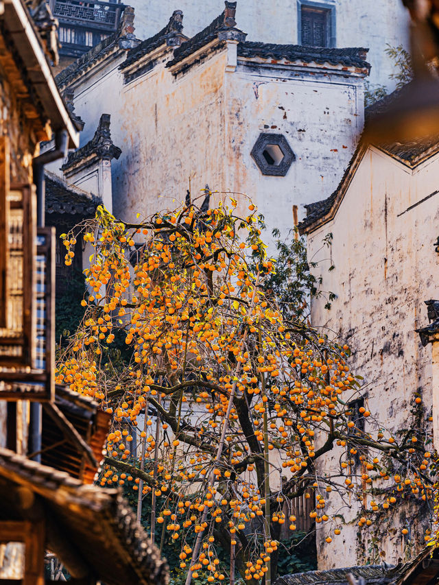 比起黃山！我更愛江西這個「世界遺產」名山！