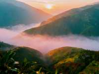 晨曦哀牢山_雲南