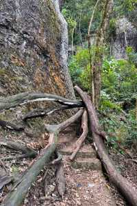 青雲山秋冬攻略|絕美雲海與暖心溫泉
