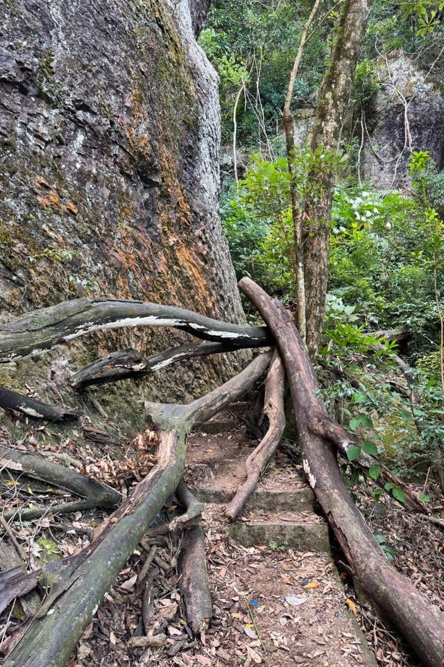 青雲山秋冬攻略|絕美雲海與暖心溫泉 青雲山秋冬攻略|絕美雲海與暖心溫泉