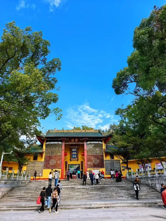 替大家去南雄踩點,銀杏青黃不接過幾天再去 替大家去南雄踩點,銀杏青黃不接過幾天再去