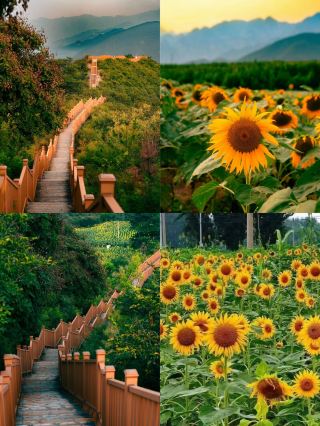 大膽預測：這裡將成為北京下一個秋日頂流