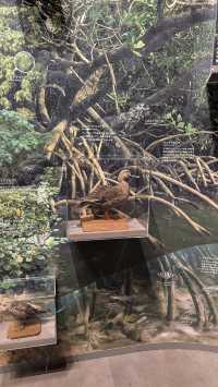 Impressive Island Exhibit