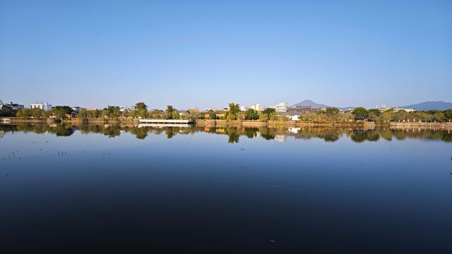 清晨的陽光下,珠璣巷是那麼的純粹、那麼的通透 清晨的陽光下,珠璣巷是那麼的純粹、那麼的通透