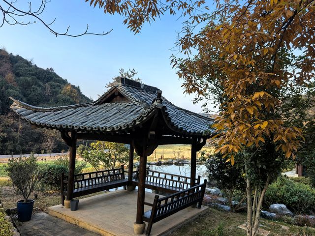 冬棲暖境,歲末安隅 冬棲暖境,歲末安隅