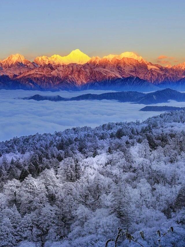 霧淞仙境美如畫