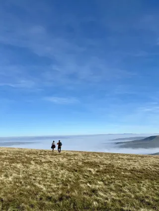 約克郡谷地一日遊被美哭了