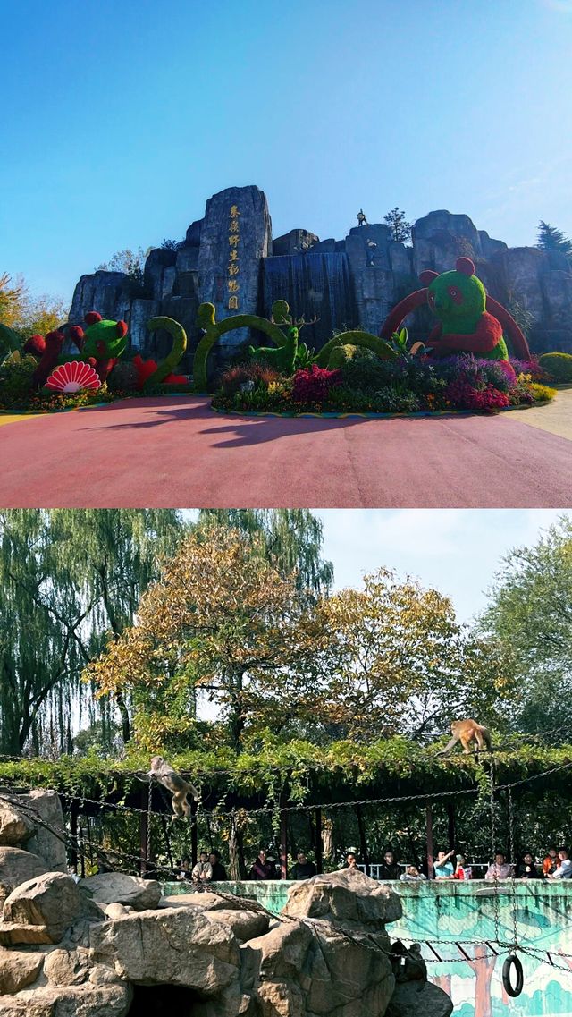 秦嶺山下的動物王國!人均150元玩轉自然野趣 秦嶺山下的動物王國!人均150元玩轉自然野趣