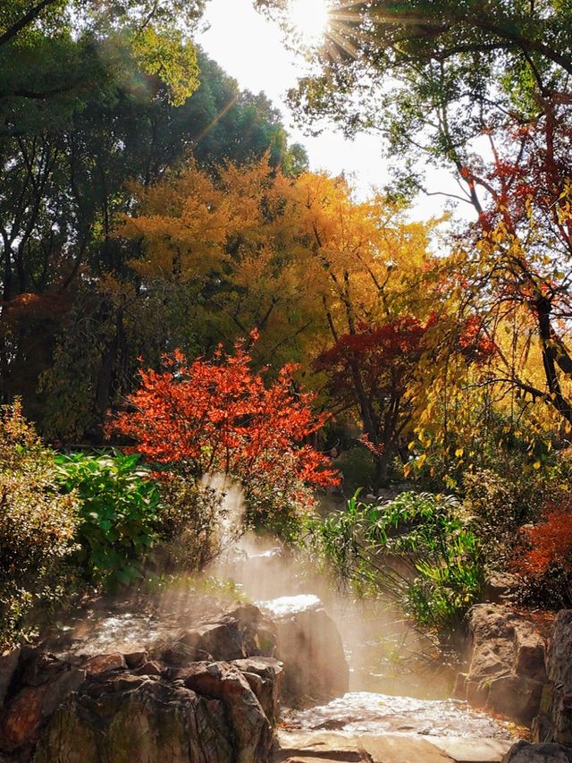 秋日魔都光影秘境