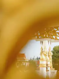 洛陽一日遊精華|暴走3大景點,雖累但值!