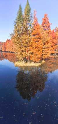 南京紅山森林動物園