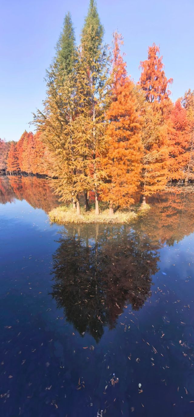 南京紅山森林動物園 南京紅山森林動物園