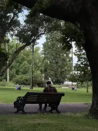 陰天 在奧克蘭city的周邊