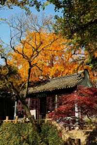 青浦隱世秋色地圖驚嘆老祖宗的審美