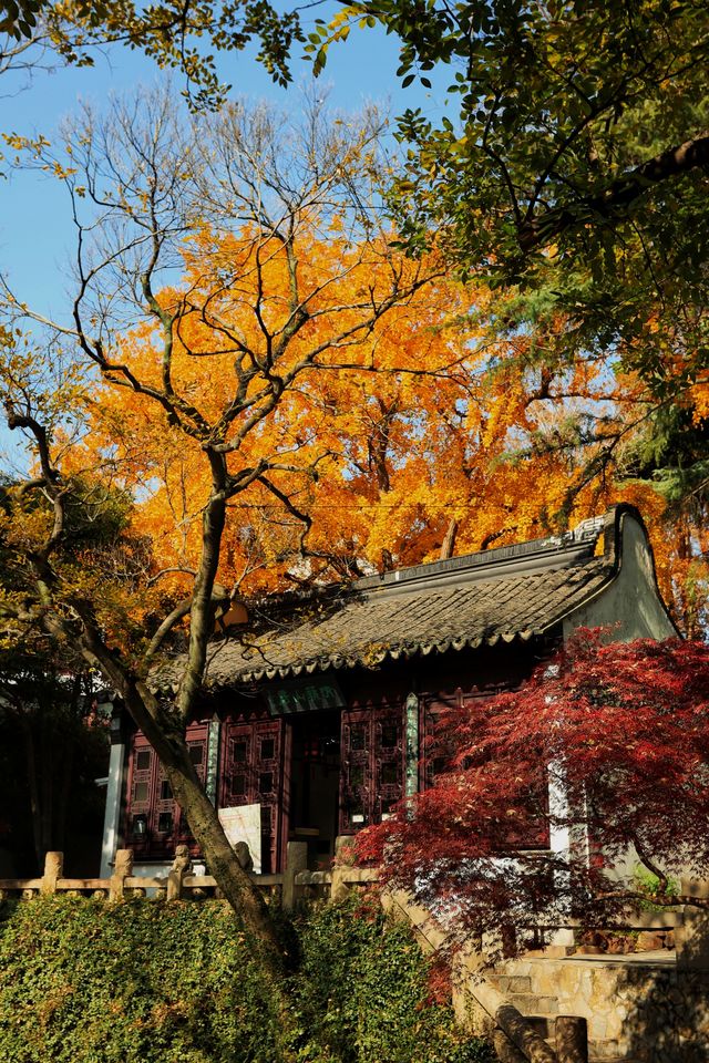 青浦隱世秋色地圖驚嘆老祖宗的審美 青浦隱世秋色地圖驚嘆老祖宗的審美