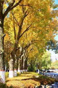 藏在城芯湟水畔，人文與自然的共生秘境