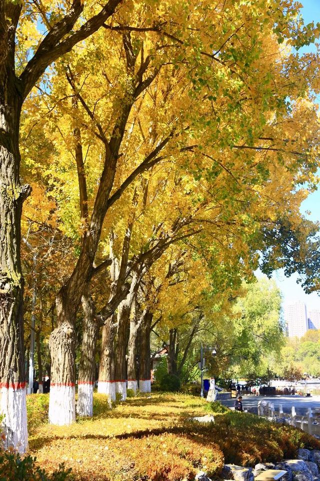 藏在城芯湟水畔，人文與自然的共生秘境