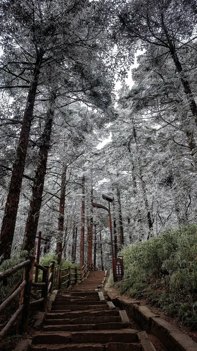 12.4實拍峨眉山的霧淞美瘋了