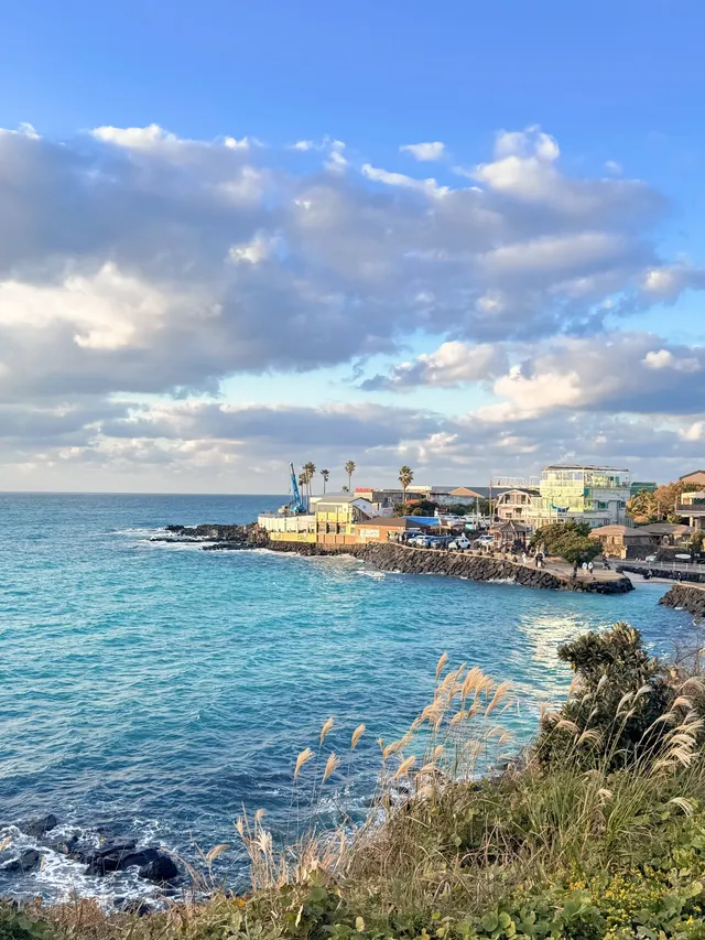 涯月邑：面朝大海，坐到日落（穿多了版）